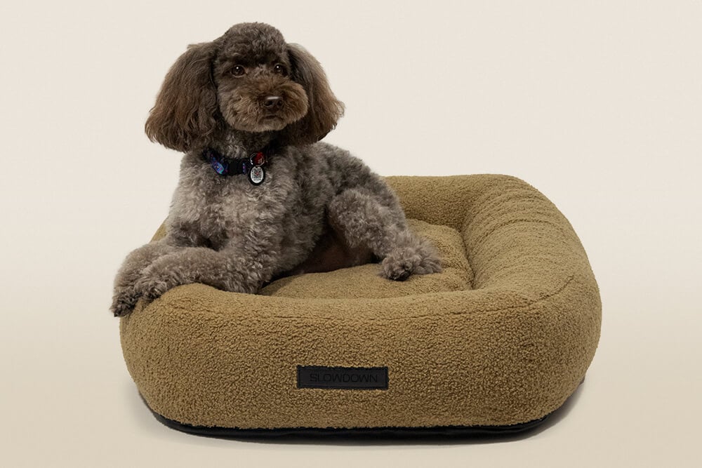 Comfortable and stylish dog beds in three different sizes!