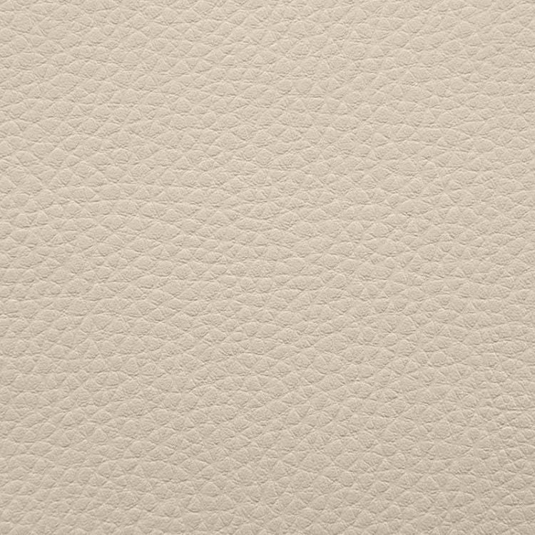 Artificial leather sample Outside Beige