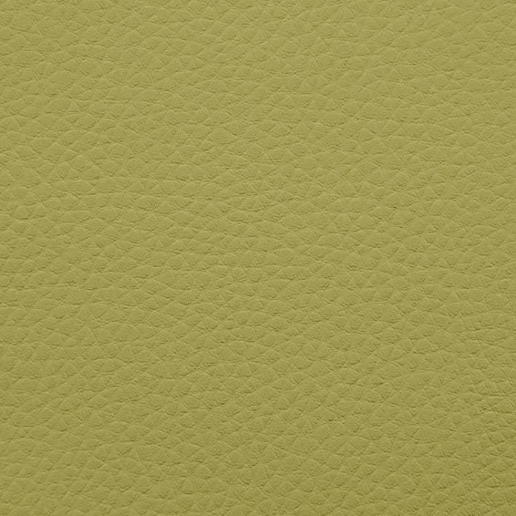 Artificial leather sample Outside Lime