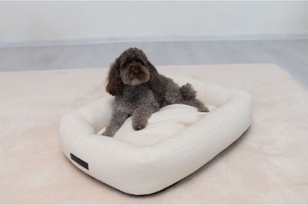 Comfortable and stylish dog beds in three different sizes!